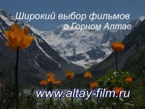 ,    (www.altay-film.ru)