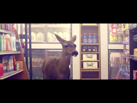 Owl City - Deer In The Headlights