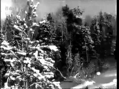   - 1954 8